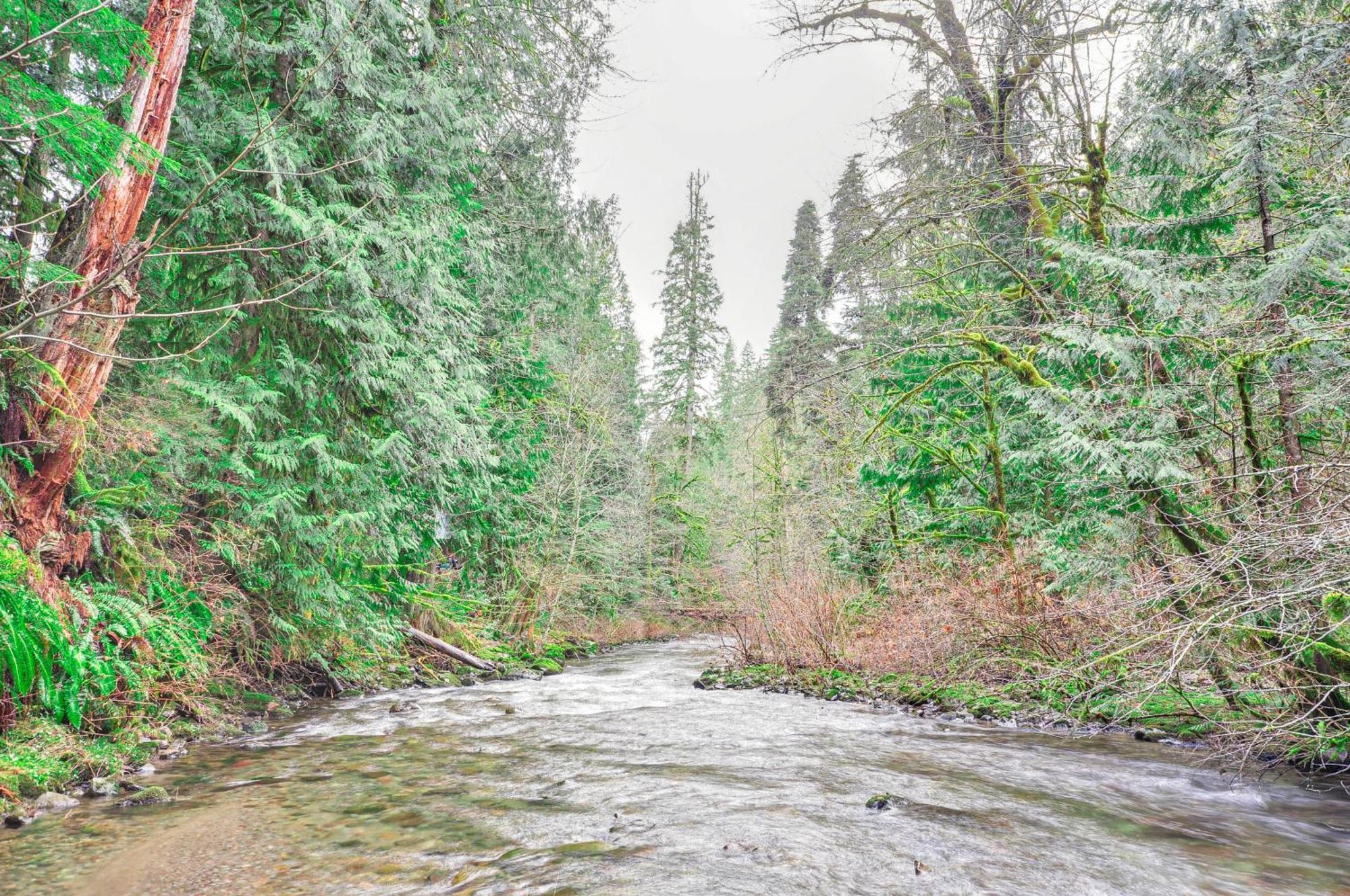 Forested Minikahda Lodge With Hot Tub Near Mt Hood Rhododendron Exterior photo