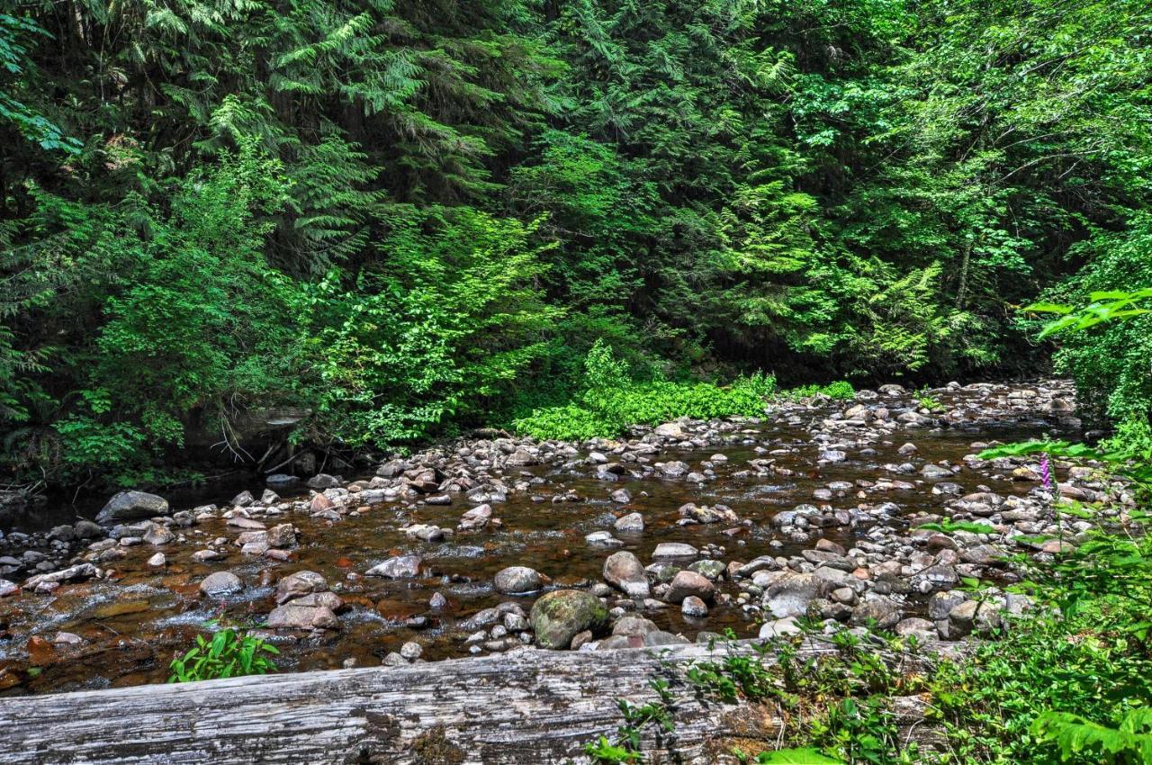 Forested Minikahda Lodge With Hot Tub Near Mt Hood Rhododendron Exterior photo