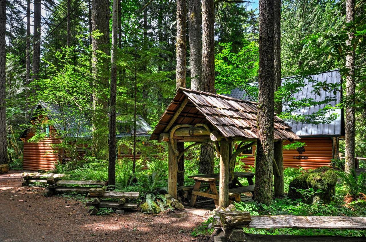 Forested Minikahda Lodge With Hot Tub Near Mt Hood Rhododendron Exterior photo